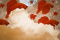 Red color fighting fish, moving in the air, With clouds, moon, stars, and waves. Royalty Free Stock Photo